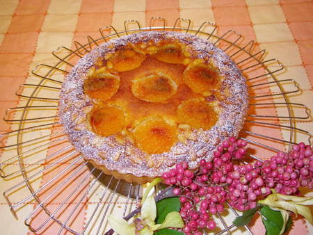 杏と松の実のタルト