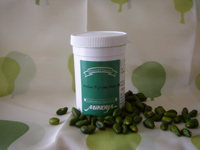 �s�X�^�`�I