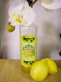 �V�g����