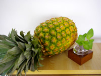 �p�C�i�b�v��