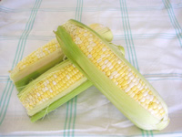 �Ƃ����낱��