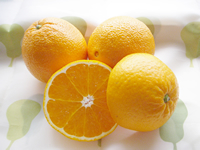 �I�����W�̎��