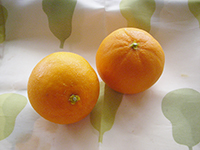 �I�����W