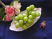 �h���C�E�}���S�[