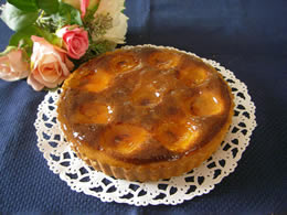 �^���g�A�u���R