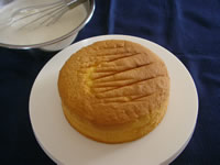 �p�[�^�E�W�F�m���[�Y

